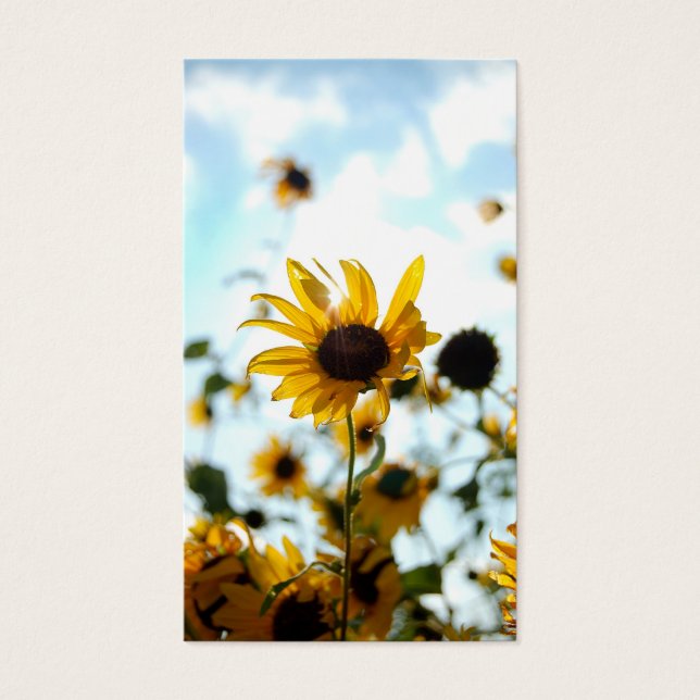 Sunflower Cards (Front)