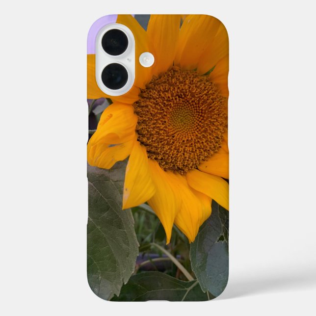 Sunflower case (Back)