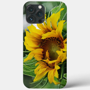 Sunflower iPhone 13 Pro Max Case
