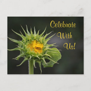 Sunflower Celebration Invitation Postcard
