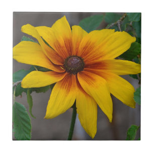 Sunflower Ceramic Tile