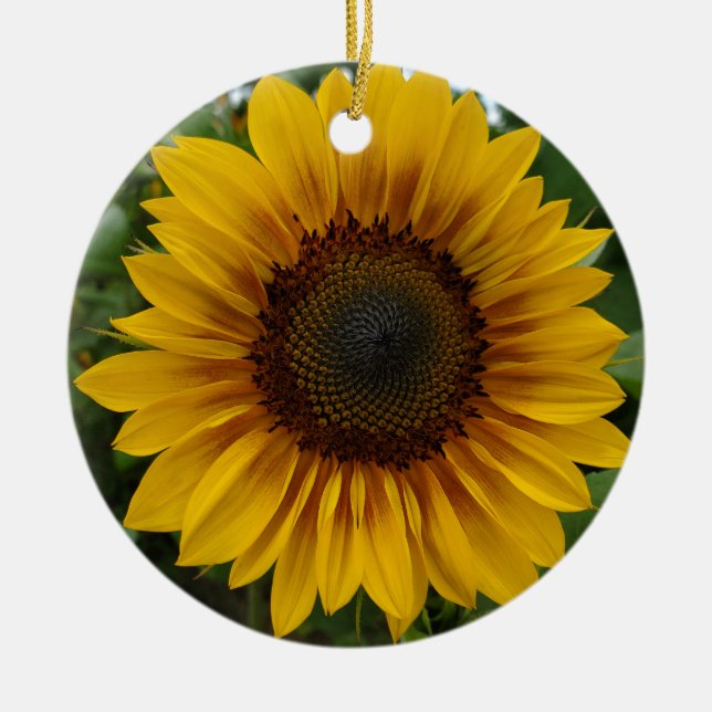 Sunflower Ceramic Tree Decoration (Front)