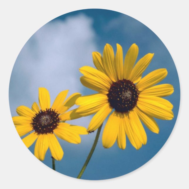 Sunflower Classic Round Sticker (Front)
