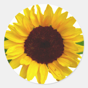 Sunflower Classic Round Sticker