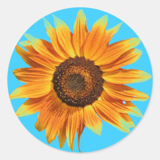 Sunflower Classic Round Sticker