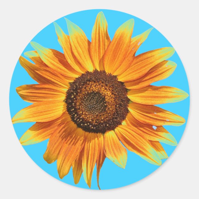 Sunflower Classic Round Sticker (Front)
