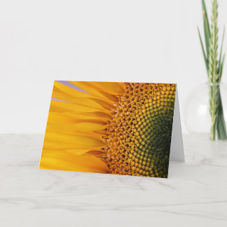 Sunflower Closeup Greeting Card (Blank Inside)