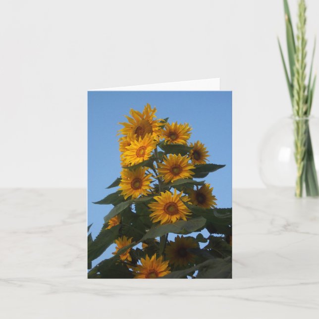 Sunflower Cluster Notecard (Front)
