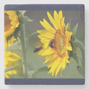 Sunflower coaster