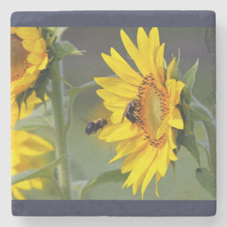 Sunflower coaster