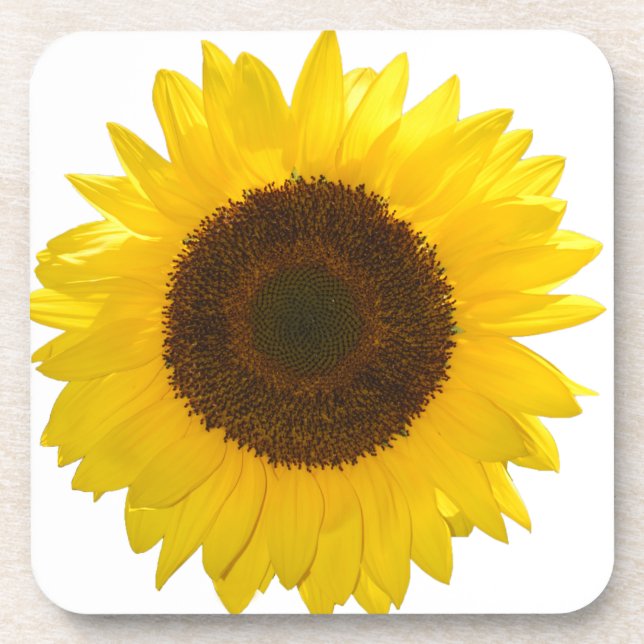 Sunflower Coaster (Front)