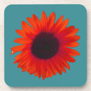 Sunflower Coasters (Set of 6) (Orange and Teal)