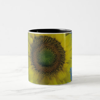 sunflower coffee cup