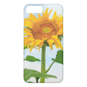 Sunflower, community garden, Moses Lake, WA, USA Case-Mate iPhone Case
