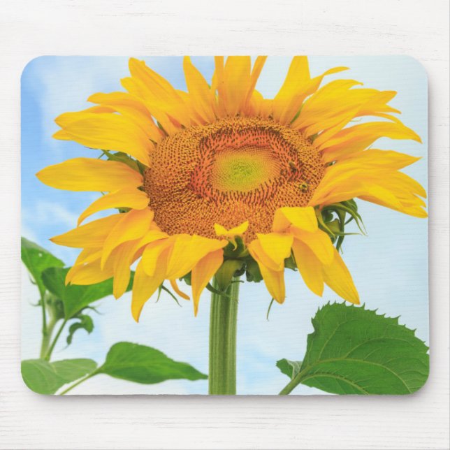 Sunflower, community garden, Moses Lake, WA, USA Mouse Pad (Front)