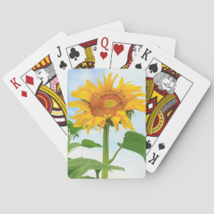 Sunflower, community garden, Moses Lake, WA, USA Playing Cards