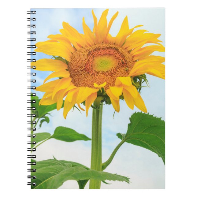 Sunflower, community garden, Moses Lake, WA, USA Spiral Notebook (Front)