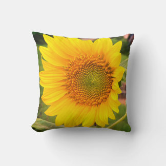 Sunflower Cushion