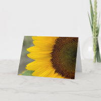 Sunflower Dark Right