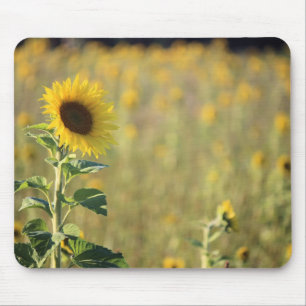 Sunflower Day Mouse Pad