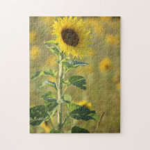 Sunflower Day Puzzle
