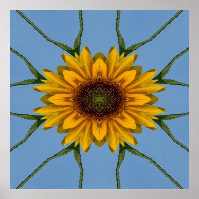 Sunflower Delight.... Poster (Front)