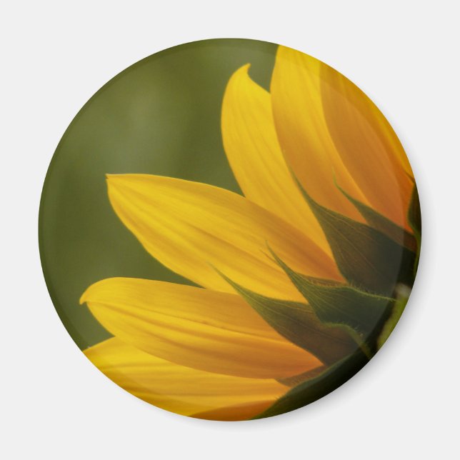 Sunflower Detail Magnet (Front)
