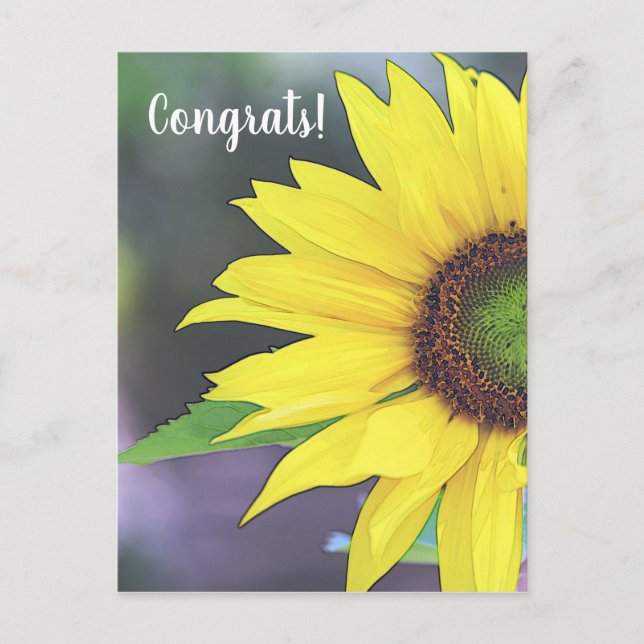 Sunflower Digital Watercolor 2 Postcard (Front)