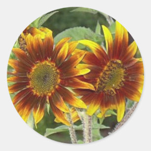 SunFlower Duo Stickers