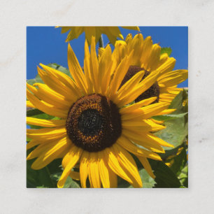 Sunflower Enclosure Card