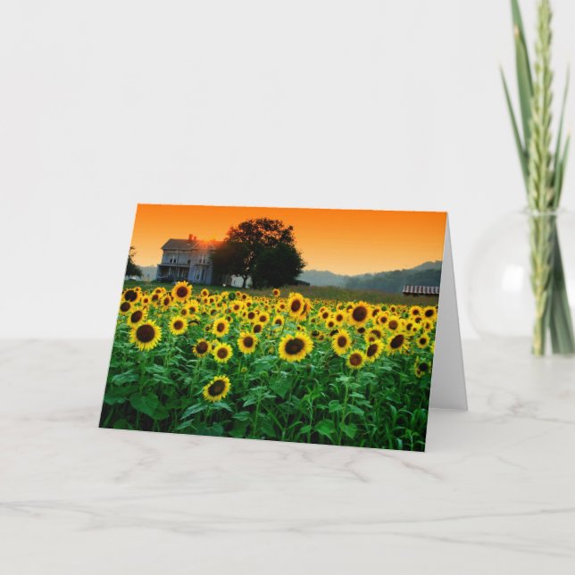 Sunflower Farm Card (Front)