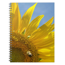 Sunflower Festival 