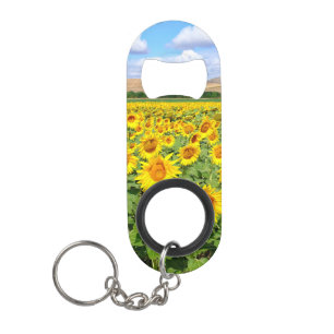 Sunflower field