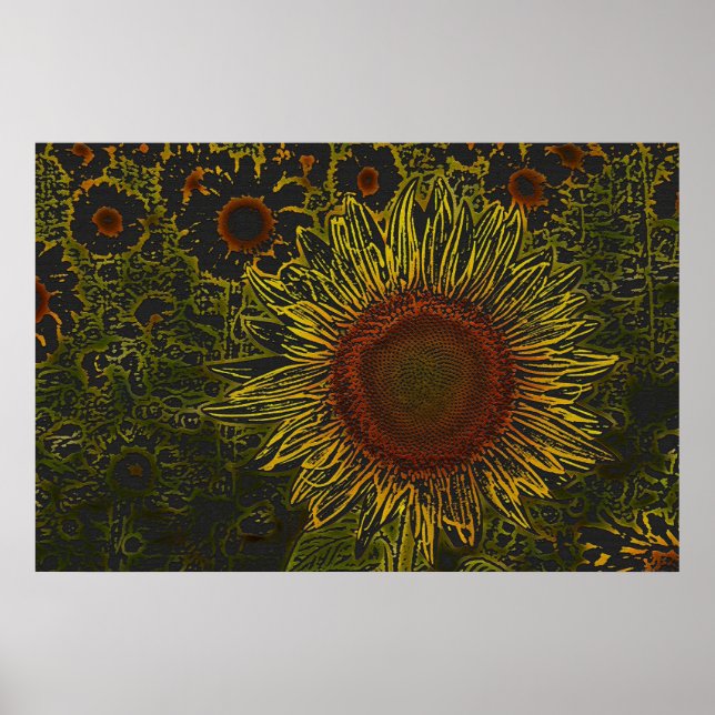 Sunflower Field 36 x 24 Poster (Front)