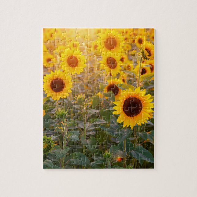 SUNFLOWER FIELD 8X10 JIGSAW PUZZLE (Vertical)