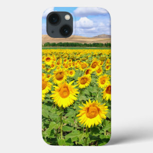 Sunflower field iPhone 13 case