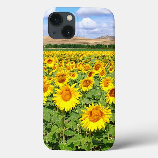 Sunflower field Case-Mate iPhone case (Back)