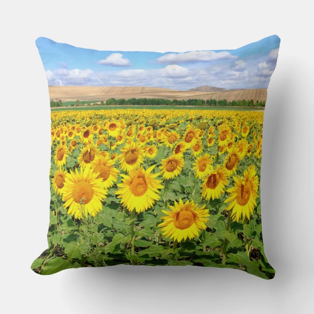 Sunflower field cushion (Front)