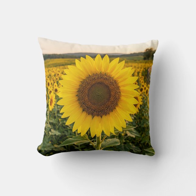 Sunflower Field Cushion (Front)