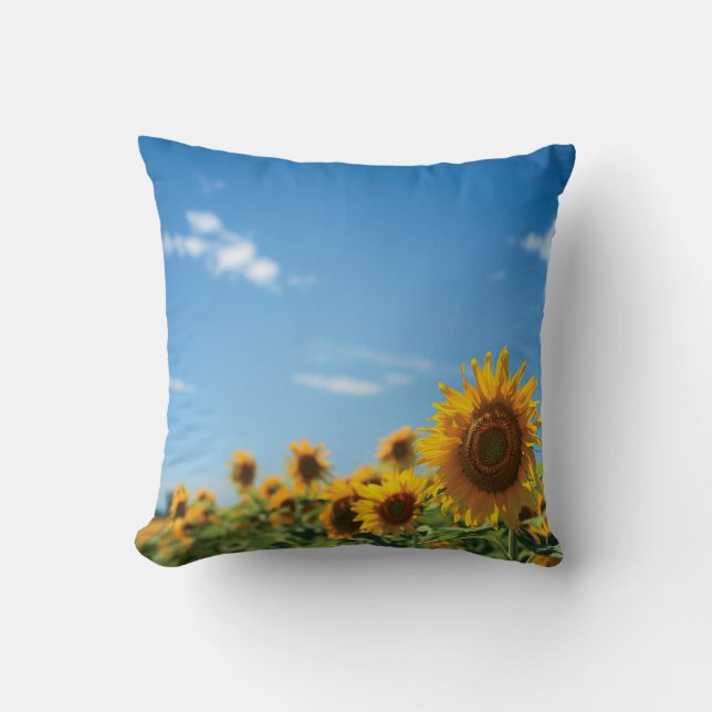 Sunflower field  cushion (Front)