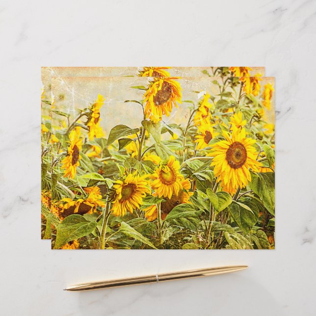 Sunflower Field Decoupage Yellow Vintage Antique (Front/Back In Situ)