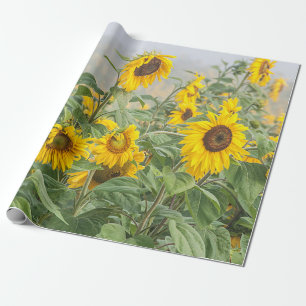 Sunflower Field Green Yellow Beautiful Decoupage Wrapping Paper