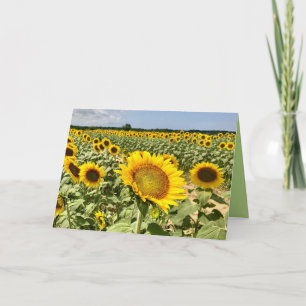 Sunflower Field Greeting Card