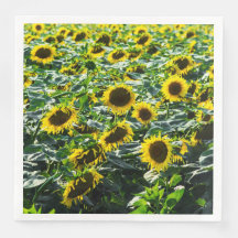 Sunflower Field Harmony