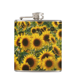 Sunflower Field Hip Flask