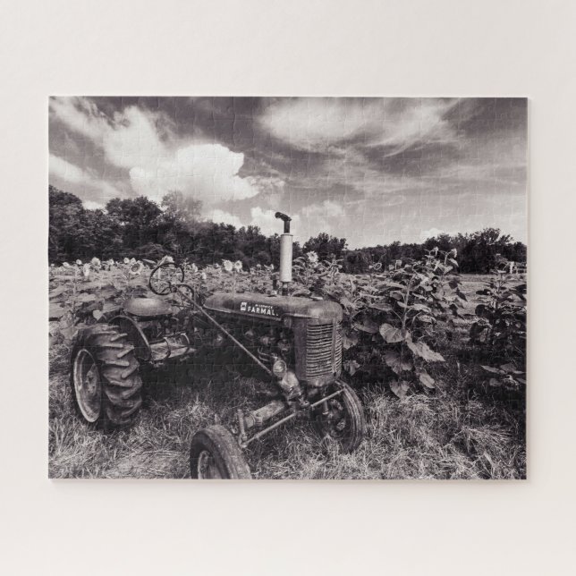 Sunflower Field in Black and White Jigsaw Puzzle (Horizontal)