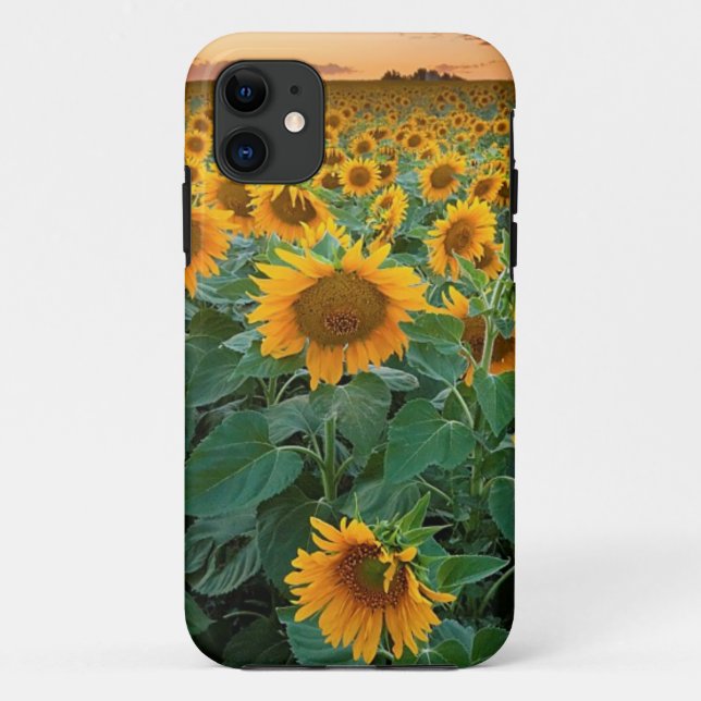 Sunflower Field in Longmont, Colorado Case-Mate iPhone Case (Back)