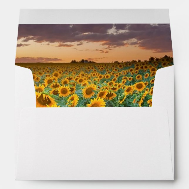 Sunflower Field in Longmont, Colorado Envelopes (Back (Bottom))