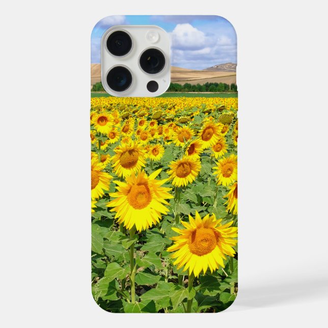 Sunflower field iPhone case (Back)