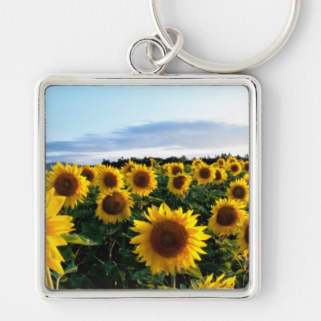 Sunflower Field Key Ring (Front)